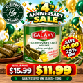 GALAXY STUFFED VINE LEAVES 1700GR