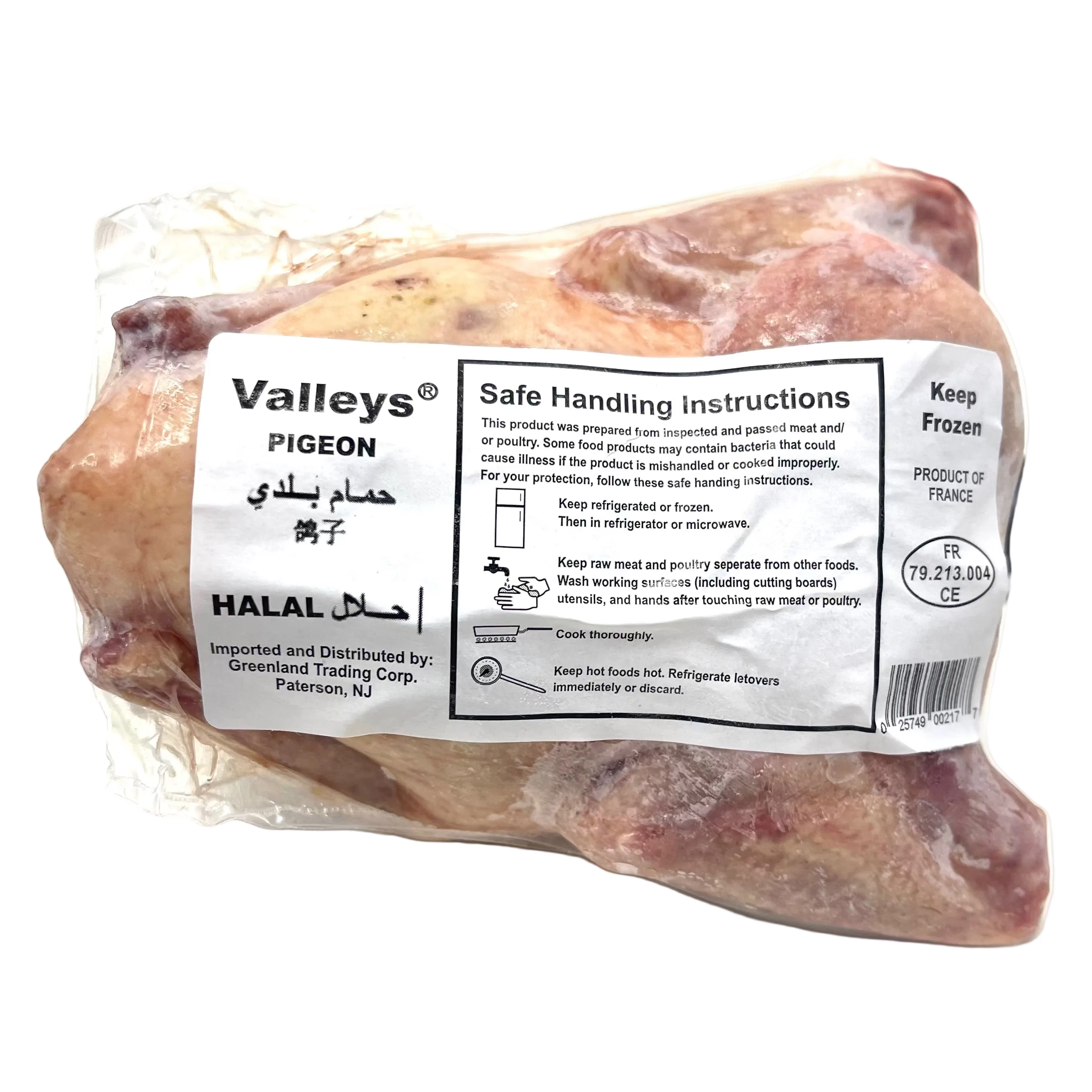 VALLEY PIGEON