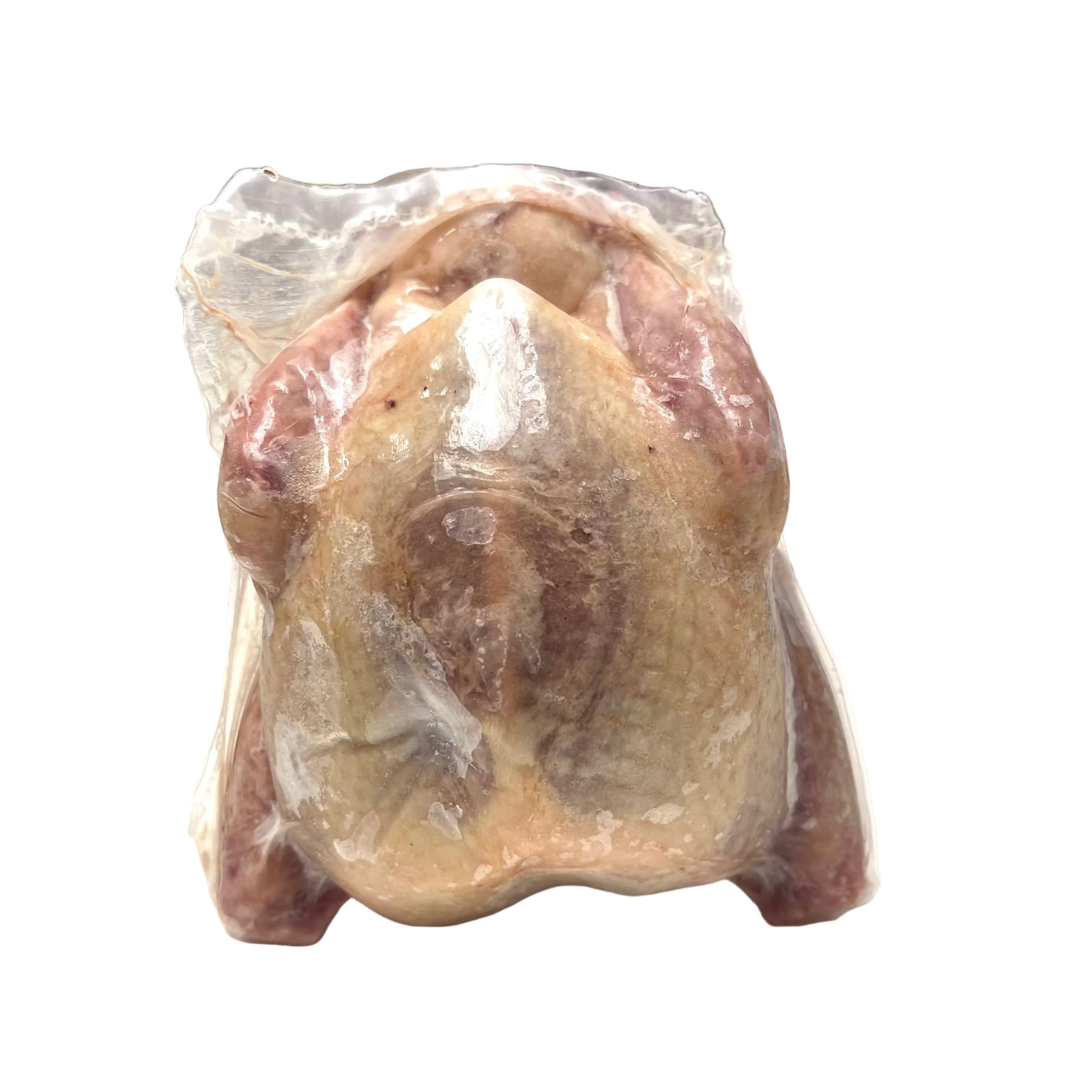 VALLEY PIGEON