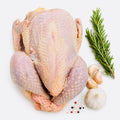 BALADY CHICKEN(APPROX. 3.5 LB)