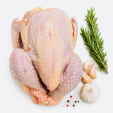BALADY CHICKEN(APPROX. 3.5 LB)