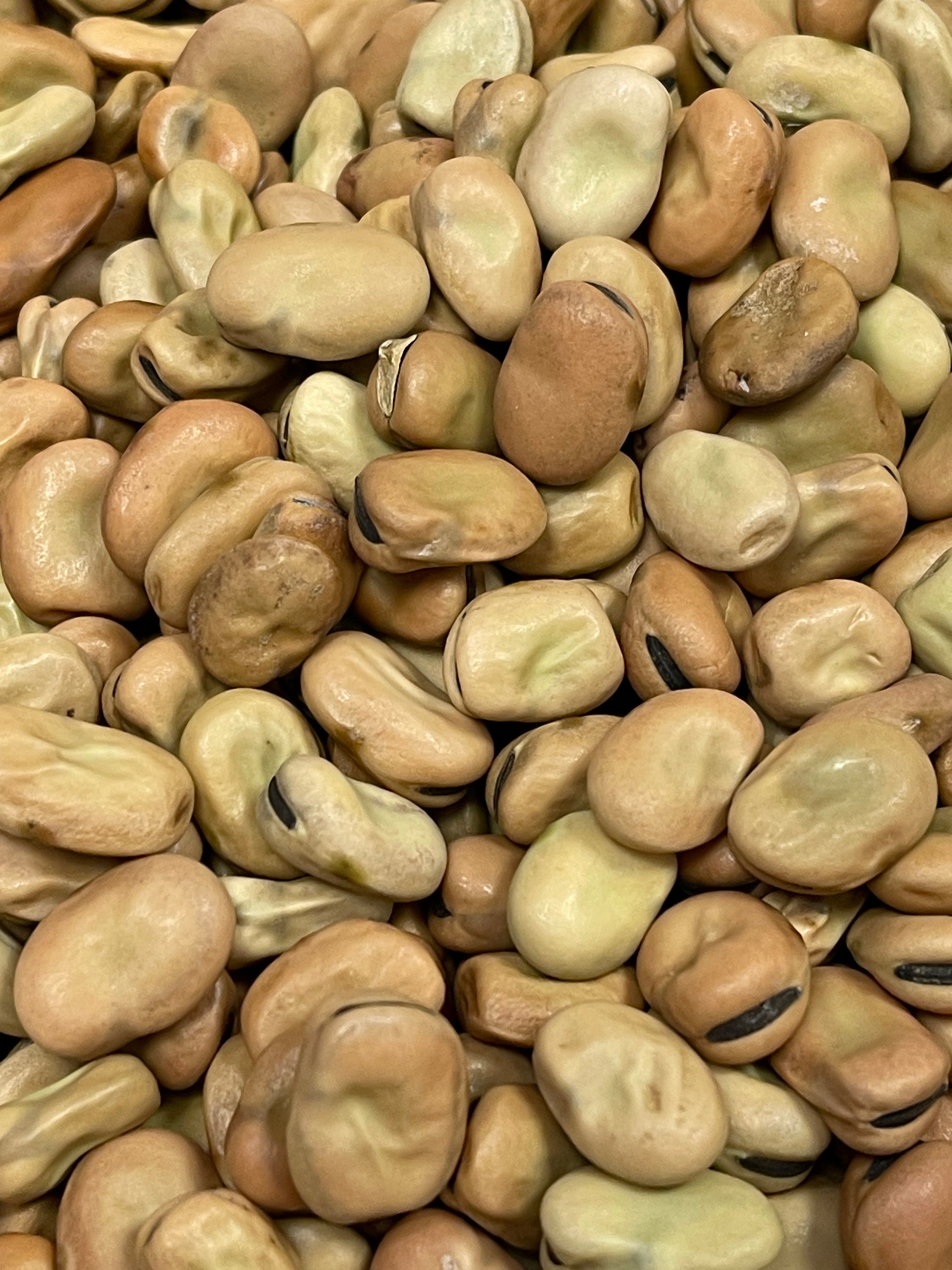 LOOSE FAVA BEANS