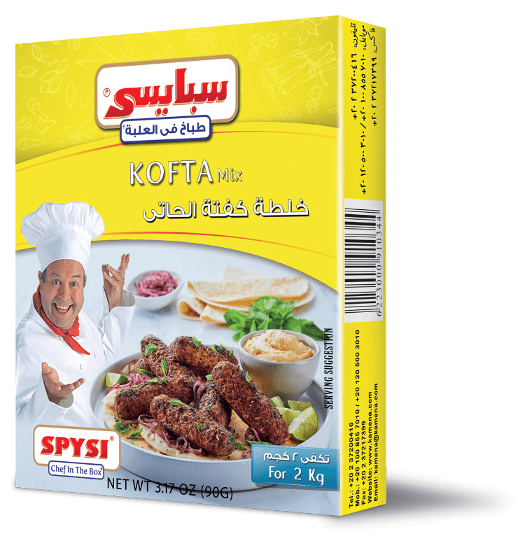 SPICY KOFTA MIX  90GM