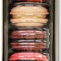 HAZZ PARISIAN MACRONS  6PCS